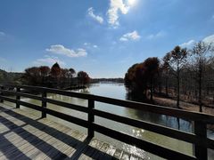 -上海海湾国家森林公园