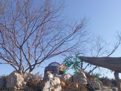 -仁爱团泊湖温泉中心