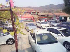 -高家大院烤全羊