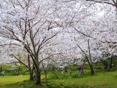 -苏州上方山国家森林公园