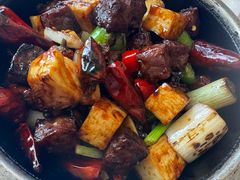 -骏莱海鲜鱼港(五角场店)