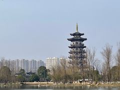 -洋湖国家湿地公园