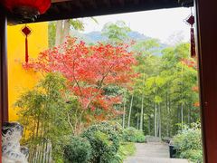 -韬光茶庵