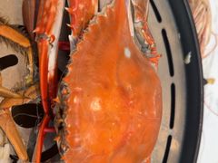 -半岛听涛蒸汽海鲜自助(K11店)