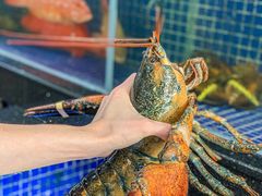 -明记海鲜大排档(巽寮湾店)