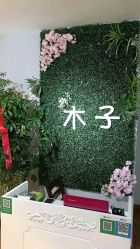 -木子沙龙