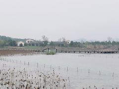 -仙山湖景区