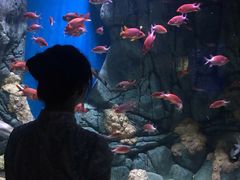 -成都浩海立方海洋公园