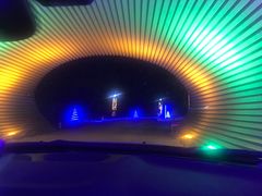 -枫花园汽车电影院(朝阳公园店)