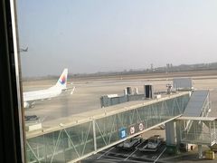 -郑州新郑国际机场-T2航站楼
