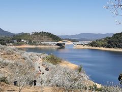 -广州市流溪河国家森林公园