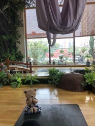 -花间禅净·瑜伽