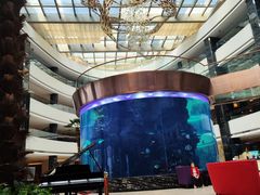 -OPEN開全日自助餐厅·牛肉火锅·海鲜(佛山希尔顿酒店)