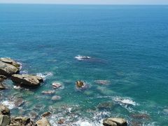 -广东惠东海龟国家级自然保护区