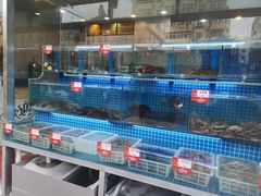 水产区-富临港·蒸汽海鲜·手抓海鲜·炒菜(栈桥店)