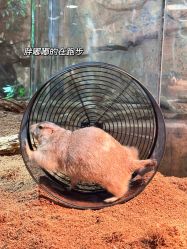 -Zoolung Zoolung动物主题公园(海信广场店)