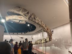 -自贡恐龙博物馆