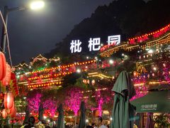 -枇杷园食为鲜火锅(南山店)
