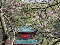 -岳麓山风景名胜区