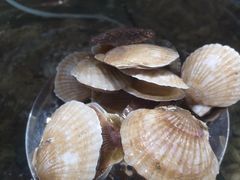 -四海蒸鲜蒸汽海鲜自助(北戴河店)