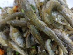 -全乐鱼馆·淳牌有机鱼直营店