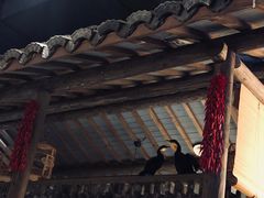 门面-哥老官重庆美蛙鱼头(西湖银泰十一哥店)