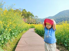 -广州市石门国家森林公园