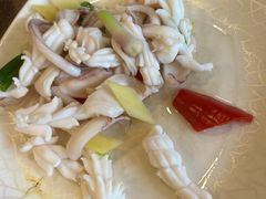 白灼鱿鱼-揭阳钟记小食(福田新村店)
