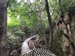 -老界岭旅游度假区