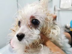 -天津前进宠物医院(前进道店)