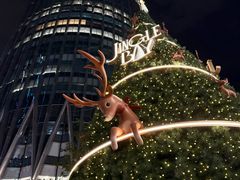 -深圳湾万象城(南山店)