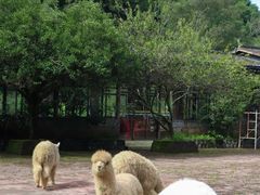 -昆明青龙峡风景区