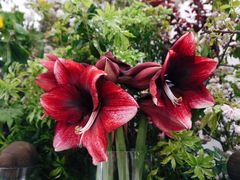 -天津卫码头(南开大悦城店)