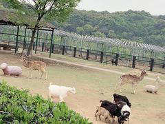 -无锡动物园·太湖欢乐园
