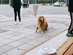 -MEEBO KAFEE米咖焙坊(虹桥路店)