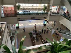 -上海市东方医院(总院)