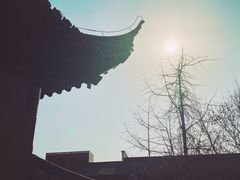 -上海白云观