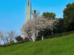 -长沙滨江文化园