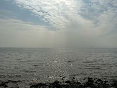 -深圳湾公园(南山区)