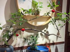 -山水茶艺馆·点心粤菜·30年老字号