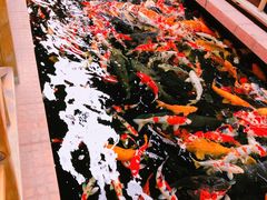 -侠成水上农庄(工业大道店)