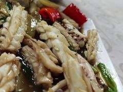 姜葱炒八爪鱼-黄海湾海鲜坊(台山铜鼓店)