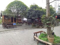 -青城甲(青城山店)