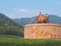 -午潮山国家森林公园