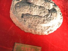 -龙塔