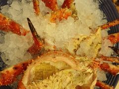 -海港酒家(翔龙湾广场店)