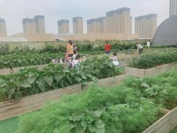 -可可天空农场(东部新城银泰店)