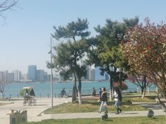-N多寿司(融创茂负一楼店)