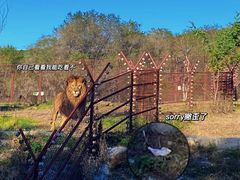 -沈阳森林动物园