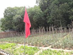 -延安杨家岭革命旧址